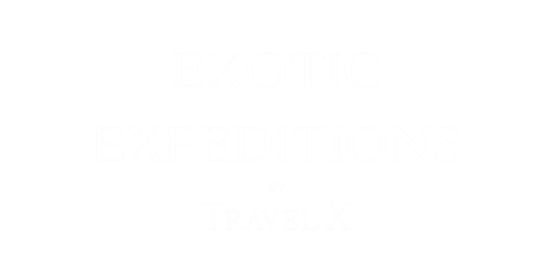 TravelX logo