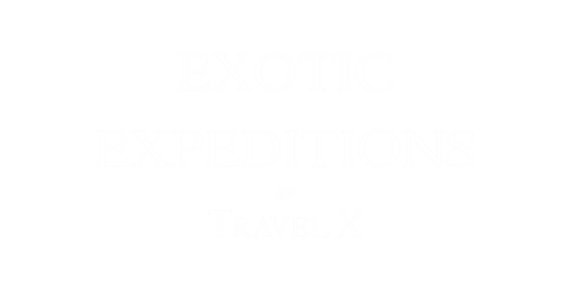 TravelX Logo